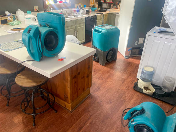 Best Commercial water damage restoration  in Brandon, SD