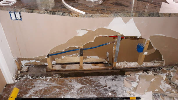 Best Mold removal after water damage  in Brandon, SD