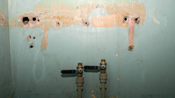Best Water damage mitigation services  in Brandon, SD