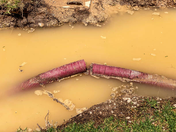 Best Water damage cleanup near me  in Brandon, SD