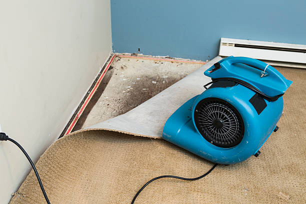 Best Ceiling water damage repair  in Brandon, SD